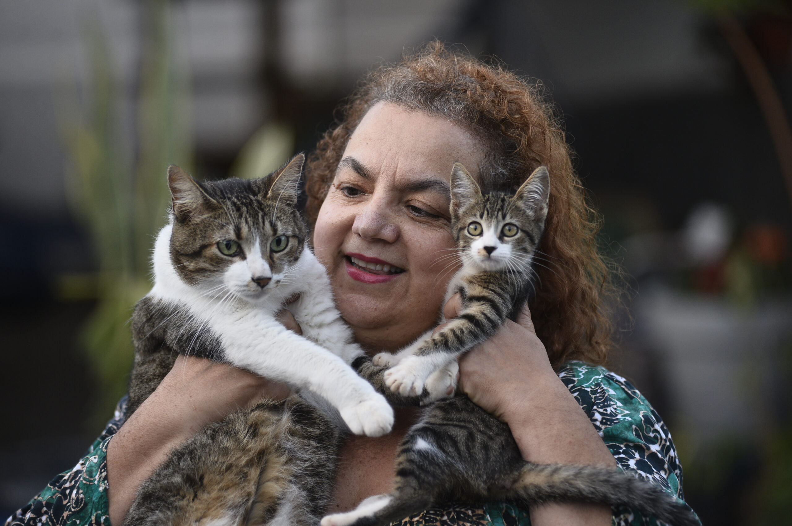 Moradora do Lago Norte resgata gatos abandonados com apoio de vizinhos